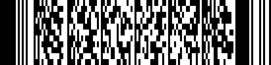 PDF-Datei 417 barcode example